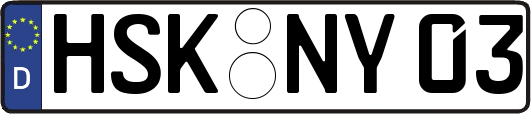 HSK-NY03