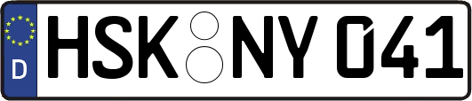 HSK-NY041