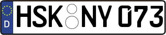 HSK-NY073