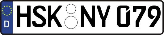 HSK-NY079