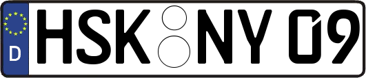 HSK-NY09