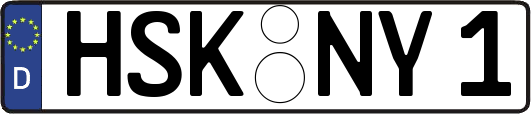 HSK-NY1