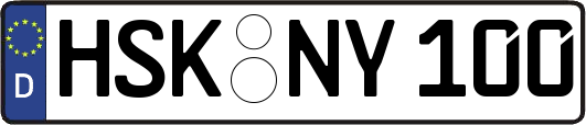 HSK-NY100