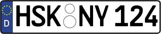 HSK-NY124