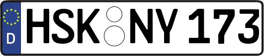 HSK-NY173