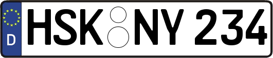 HSK-NY234