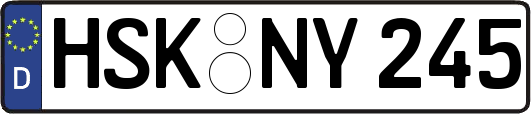 HSK-NY245