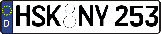 HSK-NY253