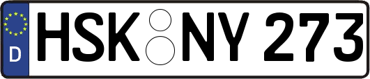 HSK-NY273