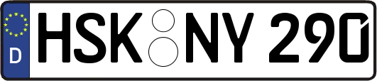 HSK-NY290