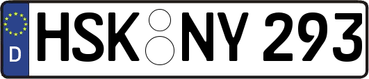 HSK-NY293