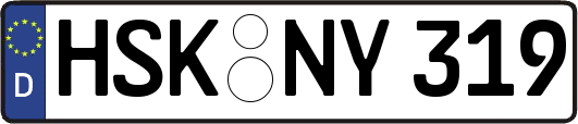 HSK-NY319
