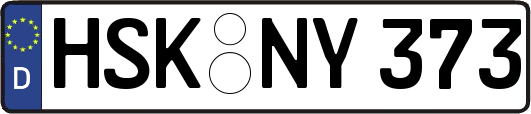 HSK-NY373