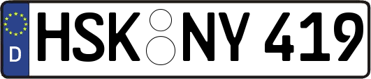 HSK-NY419