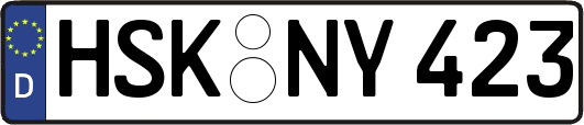 HSK-NY423