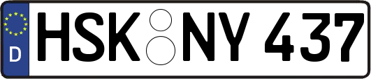 HSK-NY437