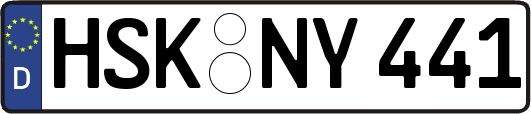 HSK-NY441