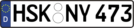 HSK-NY473