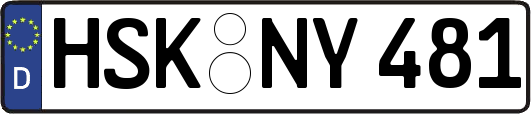 HSK-NY481