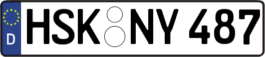 HSK-NY487