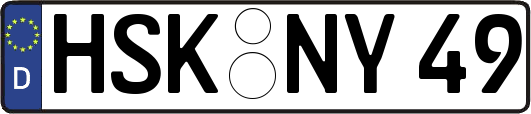 HSK-NY49
