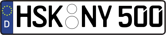 HSK-NY500