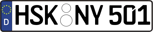 HSK-NY501