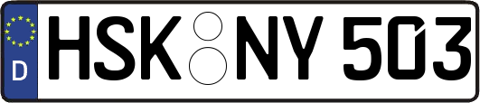 HSK-NY503