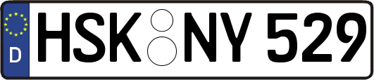 HSK-NY529