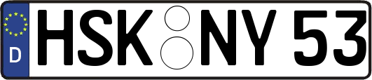 HSK-NY53