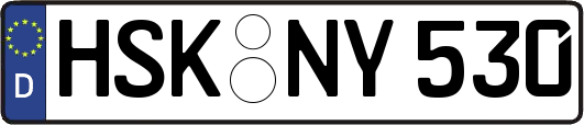 HSK-NY530