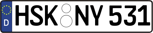 HSK-NY531