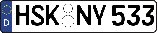 HSK-NY533