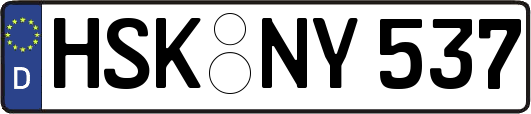 HSK-NY537