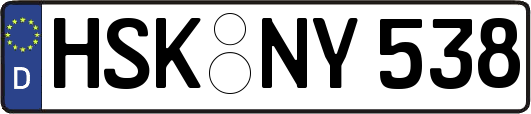 HSK-NY538