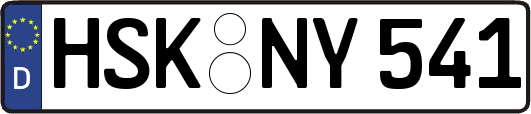HSK-NY541
