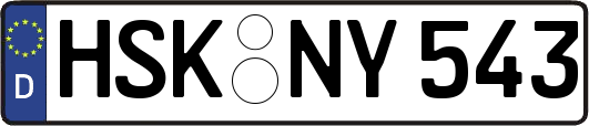 HSK-NY543