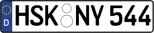HSK-NY544