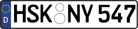 HSK-NY547