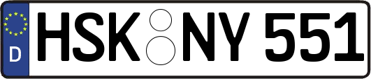 HSK-NY551