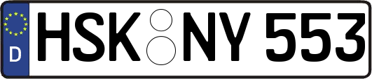 HSK-NY553
