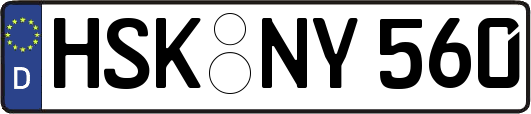 HSK-NY560