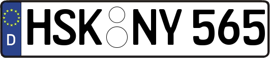 HSK-NY565