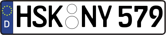 HSK-NY579