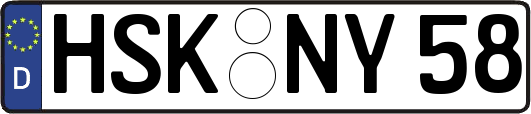 HSK-NY58