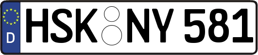 HSK-NY581