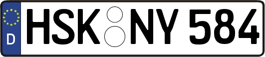 HSK-NY584