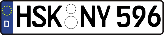 HSK-NY596