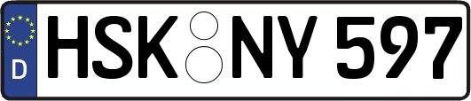 HSK-NY597
