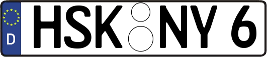 HSK-NY6